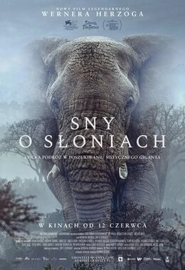 WTOREK Z DOBRYM KINEM - Sny o słoniach
